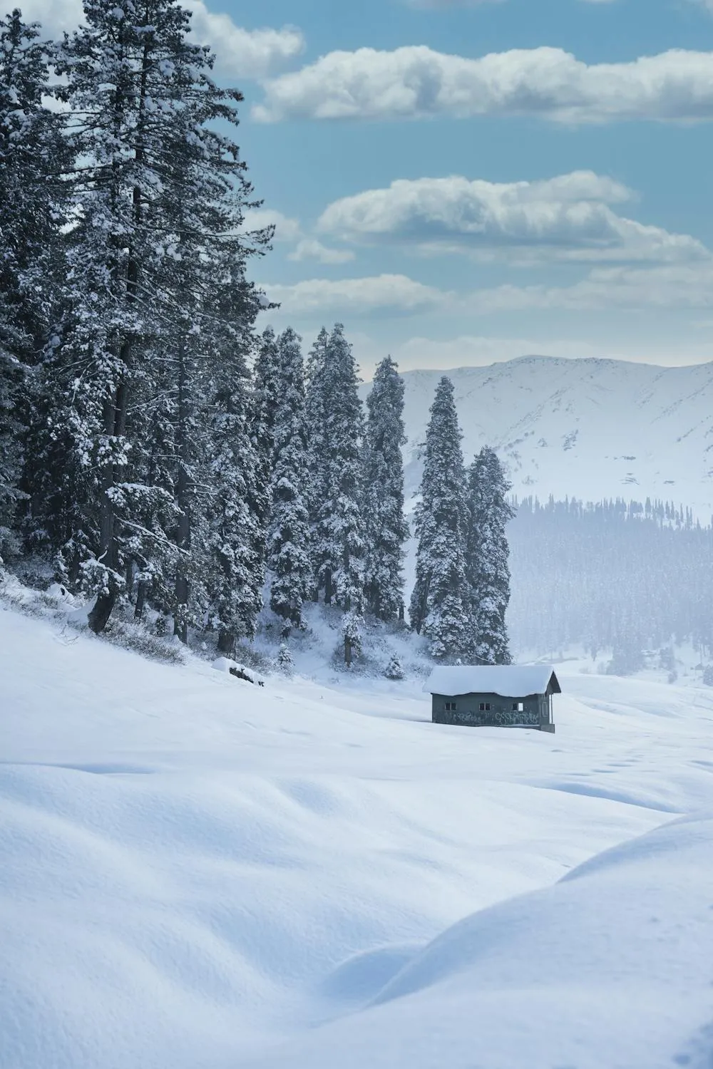 destination image